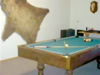 All Seasons B&B Kenai Εξωτερικό φωτογραφία