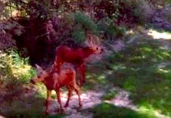 All Seasons B&B Kenai Εξωτερικό φωτογραφία